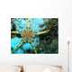 Moroccan Sea Star Wall Mural