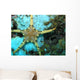 Moroccan Sea Star Wall Mural
