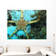 Moroccan Sea Star Wall Mural