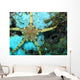 Moroccan Sea Star Wall Mural