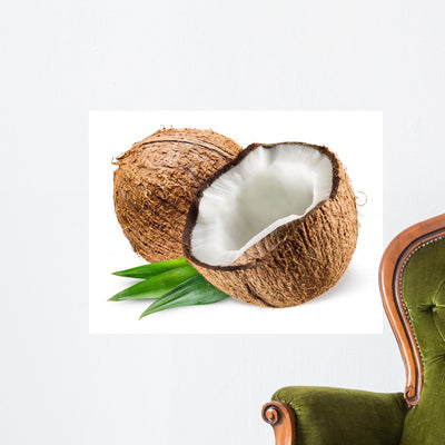 Coconut with Leaf White shown on a wall