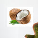 Coconut With Leaf on White Background 