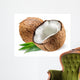 Coconut With Leaf on White Background 