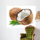 Coconut With Leaf on White Background 