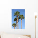 Palm Trees Wall Mural