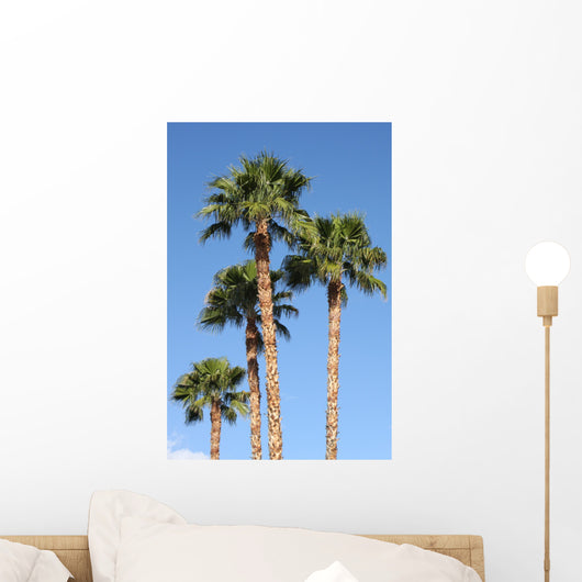 Palm Trees Wall Mural