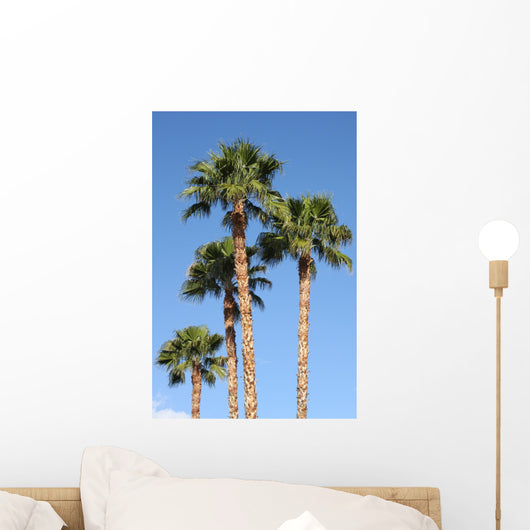 Palm Trees Wall Mural
