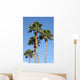 Palm Trees Wall Mural