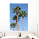 Palm Trees Wall Mural