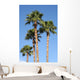 Palm Trees Wall Mural