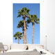 Palm Trees Wall Mural