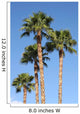 Palm Trees Wall Mural