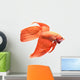 Siamese Fighting Fish