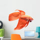 Siamese Fighting Fish