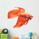 Siamese Fighting Fish