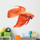 Siamese Fighting Fish