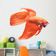 Siamese Fighting Fish