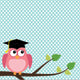 Owl with Graduation Cap Wall Mural