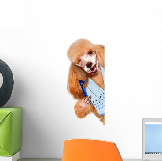 Dog Shaves Creative