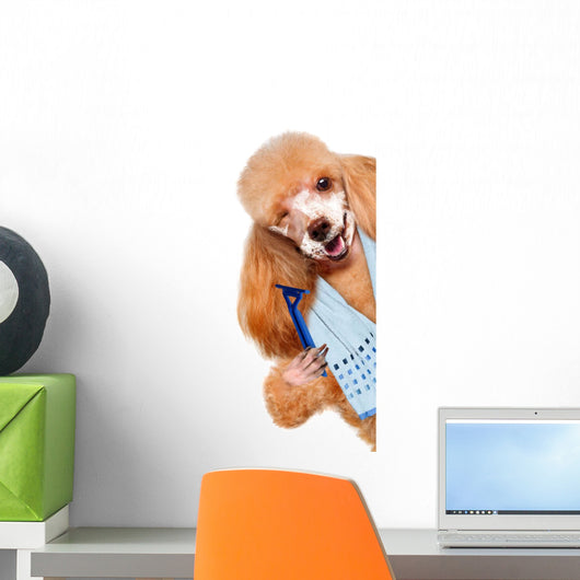Dog Shaves Creative