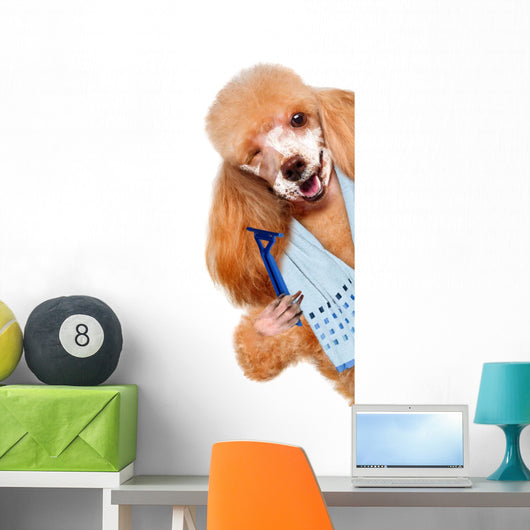 Dog Shaves Creative