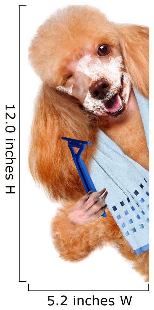 Dog Shaves Creative