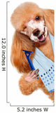 Dog Shaves Creative
