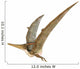 Pteranodon