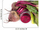 Fresh Juice Red Beets