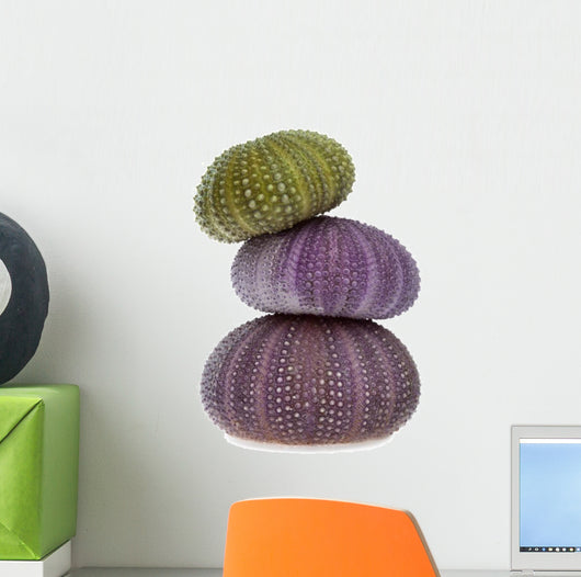 Sea Urchins Wall Decal