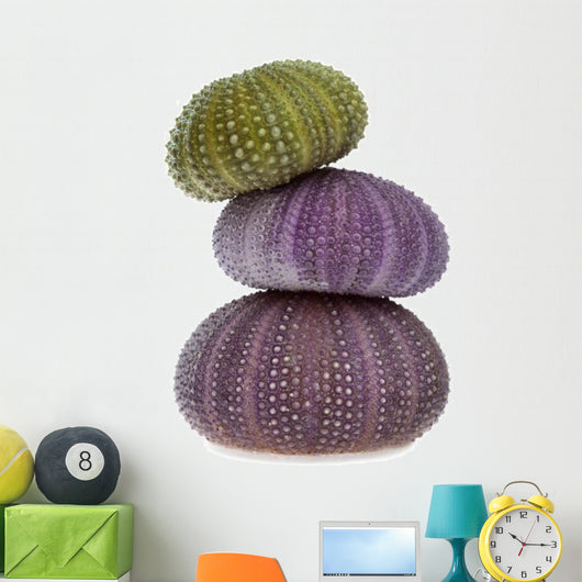 Sea Urchins Wall Decal