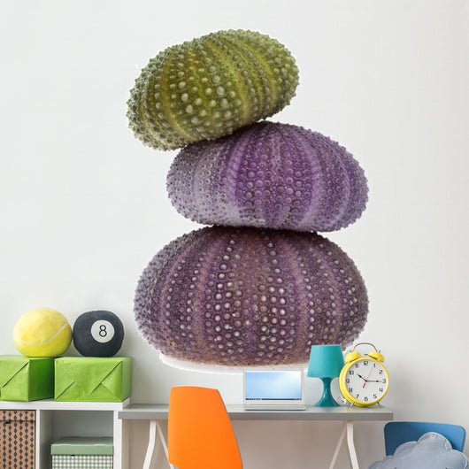 Sea Urchins Wall Decal