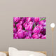 purple tulips with water drops Wall Mural