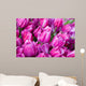 purple tulips with water drops Wall Mural