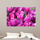 purple tulips with water drops Wall Mural