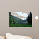 Green Pine Forest above