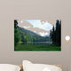 Green Pine Forest above
