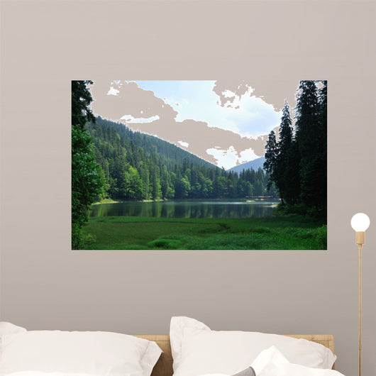 Green Pine Forest above