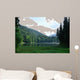Green Pine Forest above