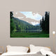 Green Pine Forest above