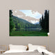 Green Pine Forest above