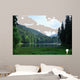 Green Pine Forest above