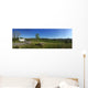Reisemobil Stellplatz Wall Decal Panoramic Wall Decal
