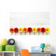 Aster / Gerbera Wall Mural