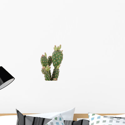 Cactus Plant Wall Decal shown on a wall