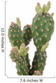 Cactus Plant Wall Decal
