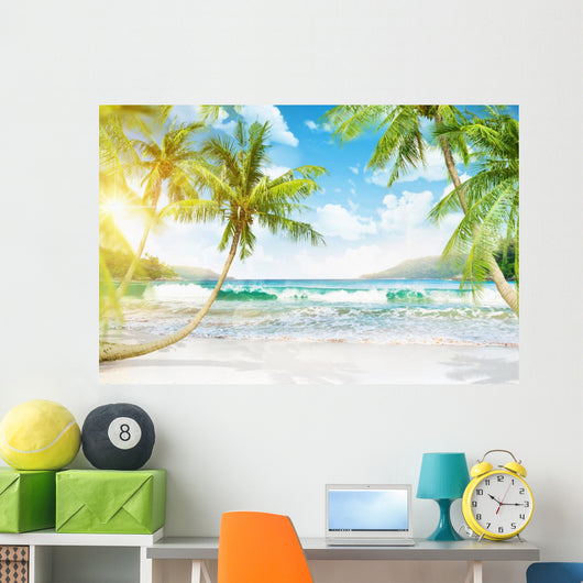Tropical Island with Palm