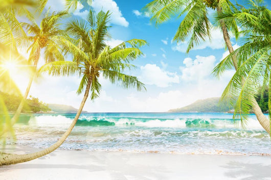 Tropical Island with Palm