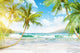 Tropical Island with Palm