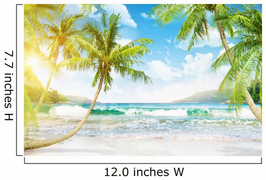 Tropical Island with Palm
